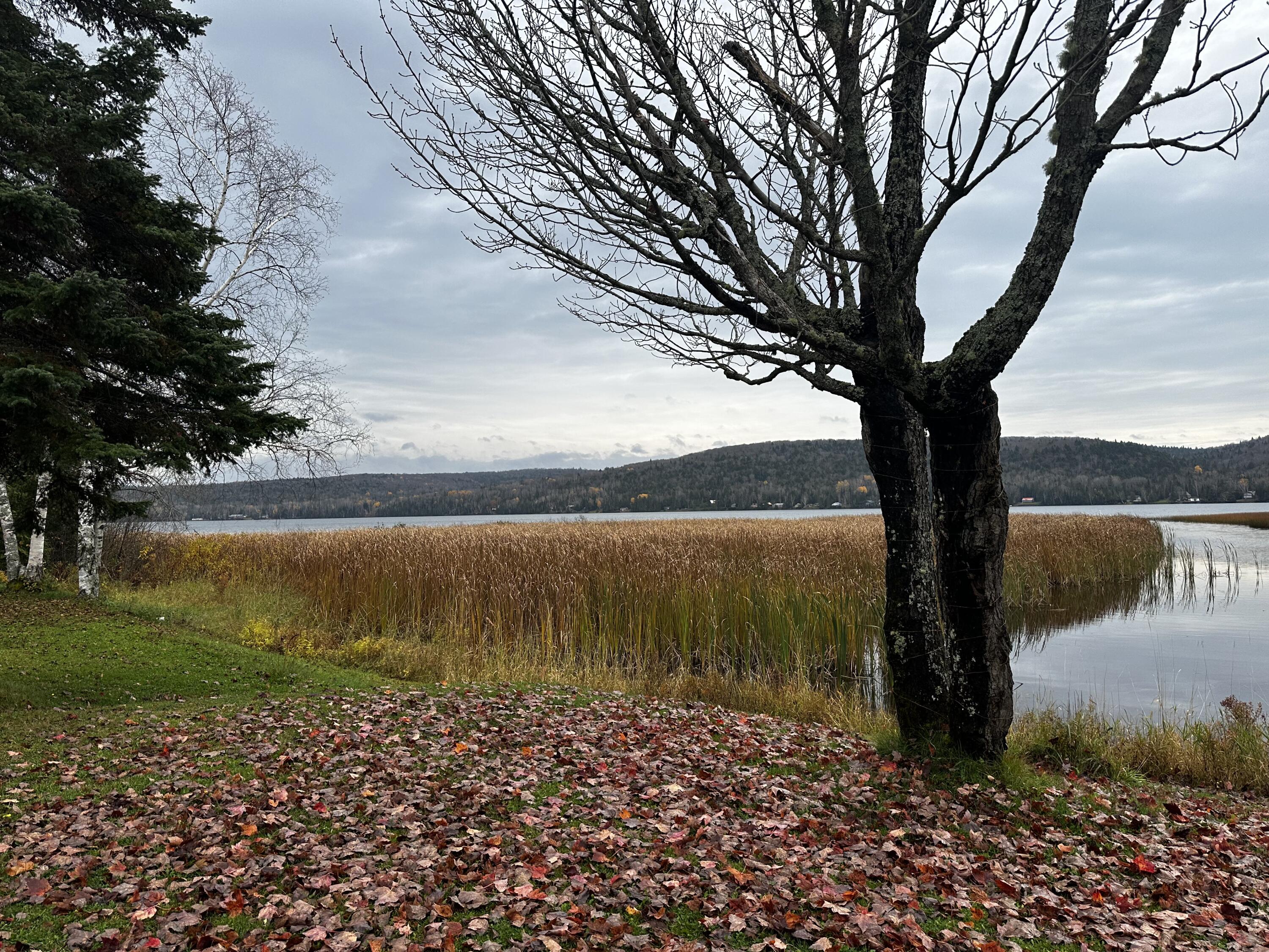 156 Sinclair Road St. David, ME 04773 - Photo 53 of 61 IMG_0028