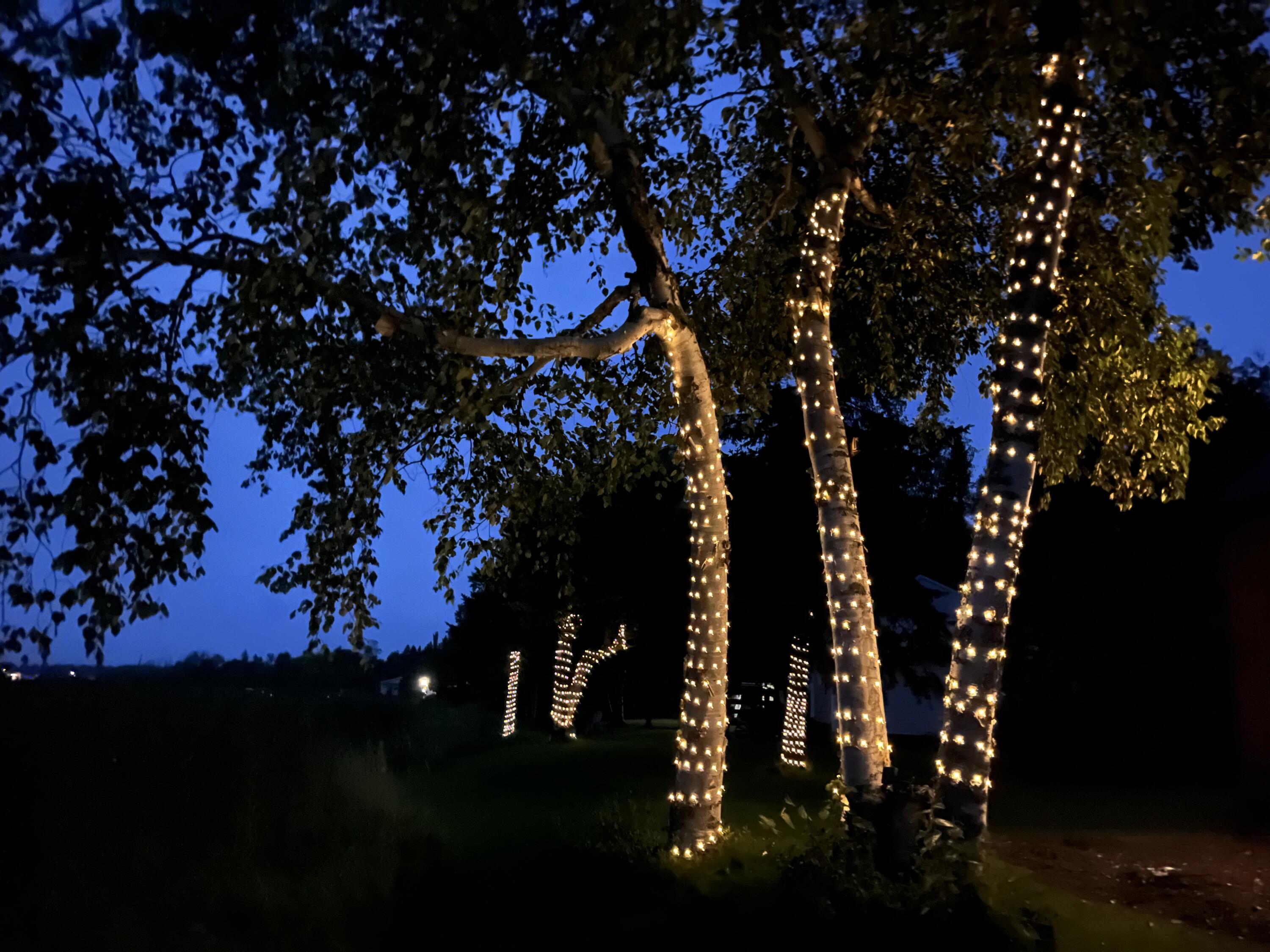 156 Sinclair Road St. David, ME 04773 - Photo 60 of 61 IMG_8285