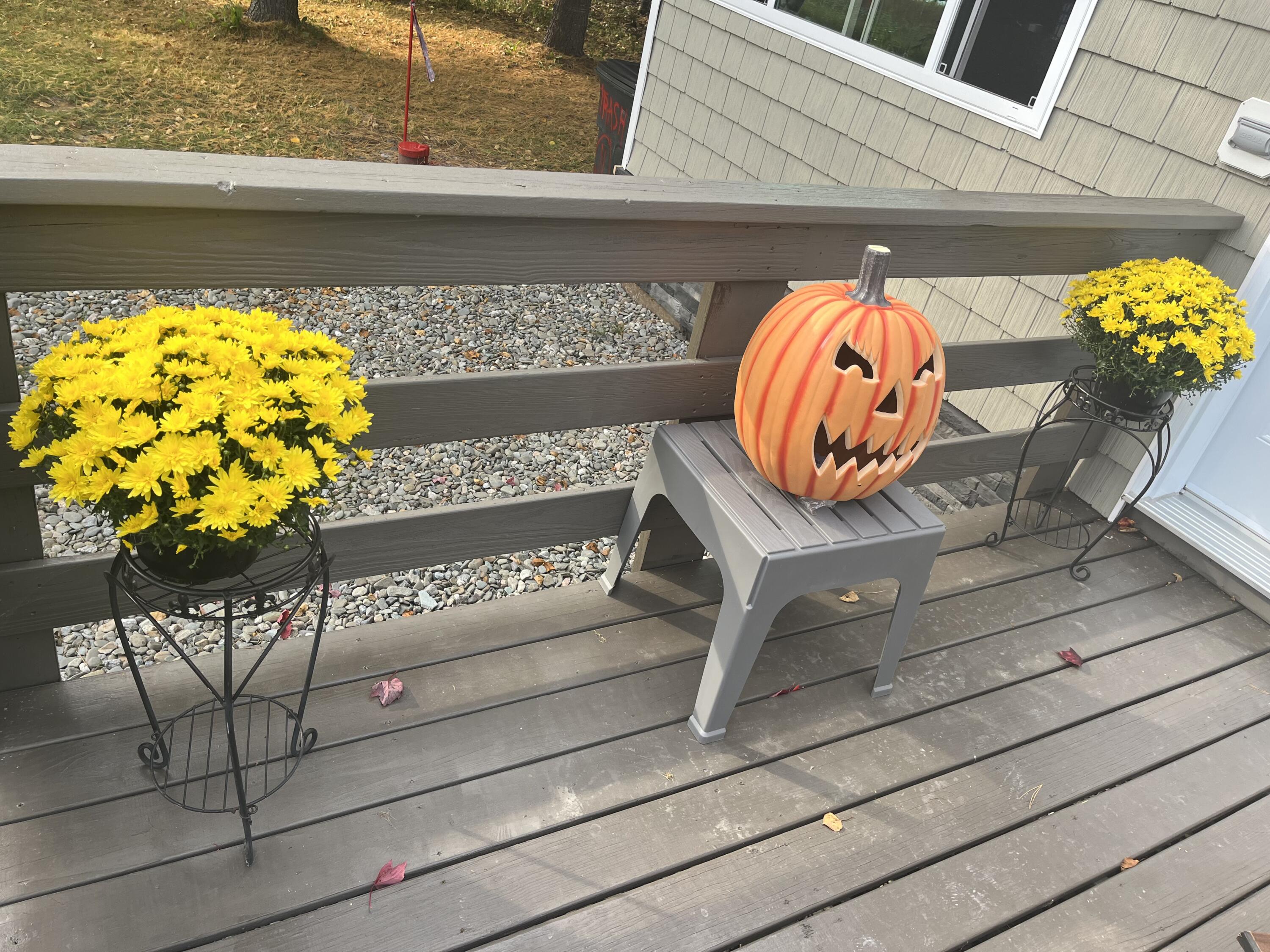 156 Sinclair Road St. David, ME 04773 - Photo 61 of 61 IMG_8785