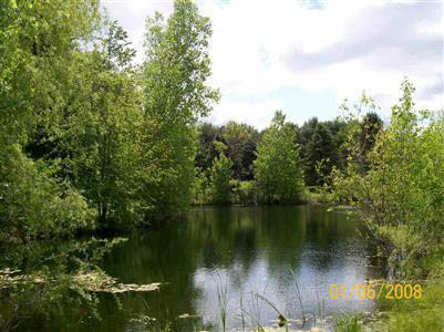 5490 Lonsberry Road Columbiaville, MI 48421 - Photo 6 of 10 20211847-5.JPG