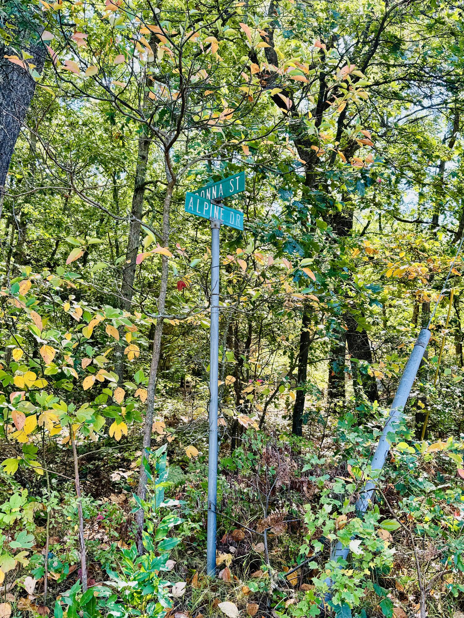 East Donna Road Fountain, MI 49410 - Photo 4 of 13 Corner of Donna & Alpine