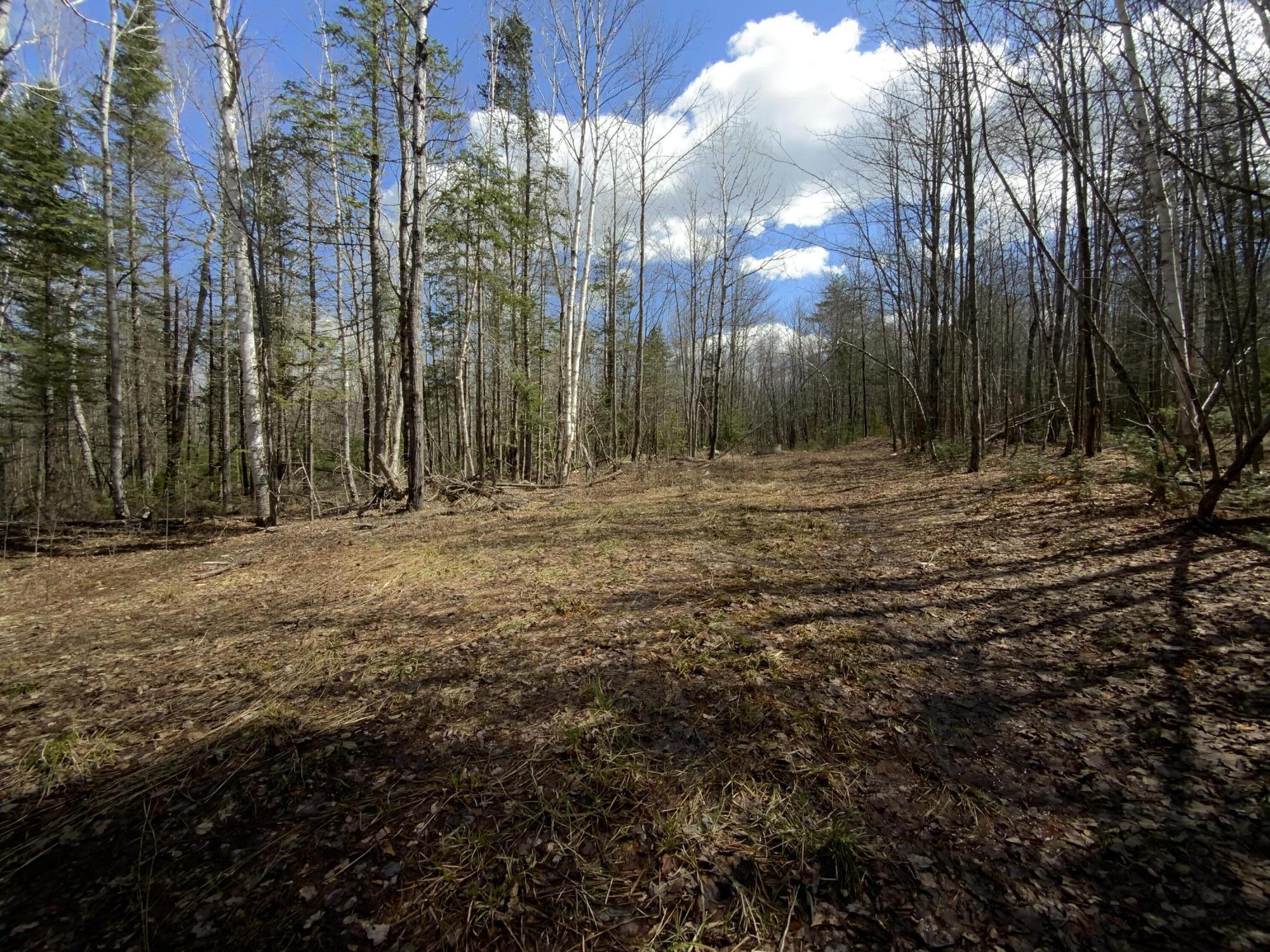 307 Farmers Hill Road Andover, ME 04216 - Photo 68 of 70 296A8CD0-8C02-484A-BFD2-2E83726519F9