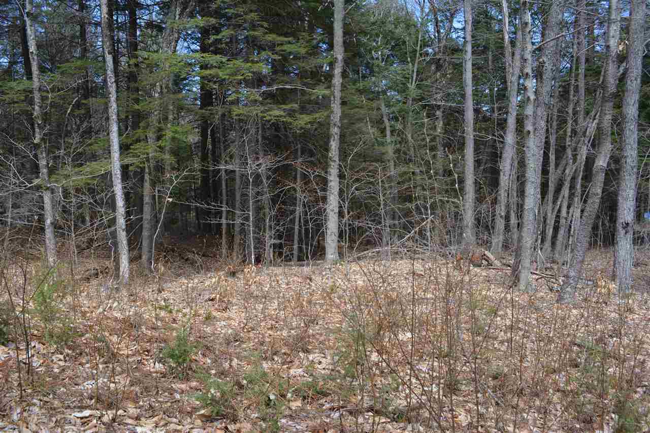 40 Bayle Mountain Road Ossipee, NH 03814 - Photo 9 of 12