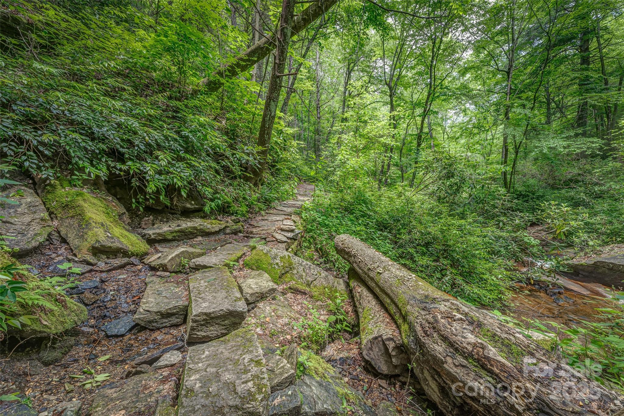 Lot 129 Inoli Circle, Unit 129/7 Brevard, NC 28712 - Photo 16 of 25 a view of a yard with plants and a large tree