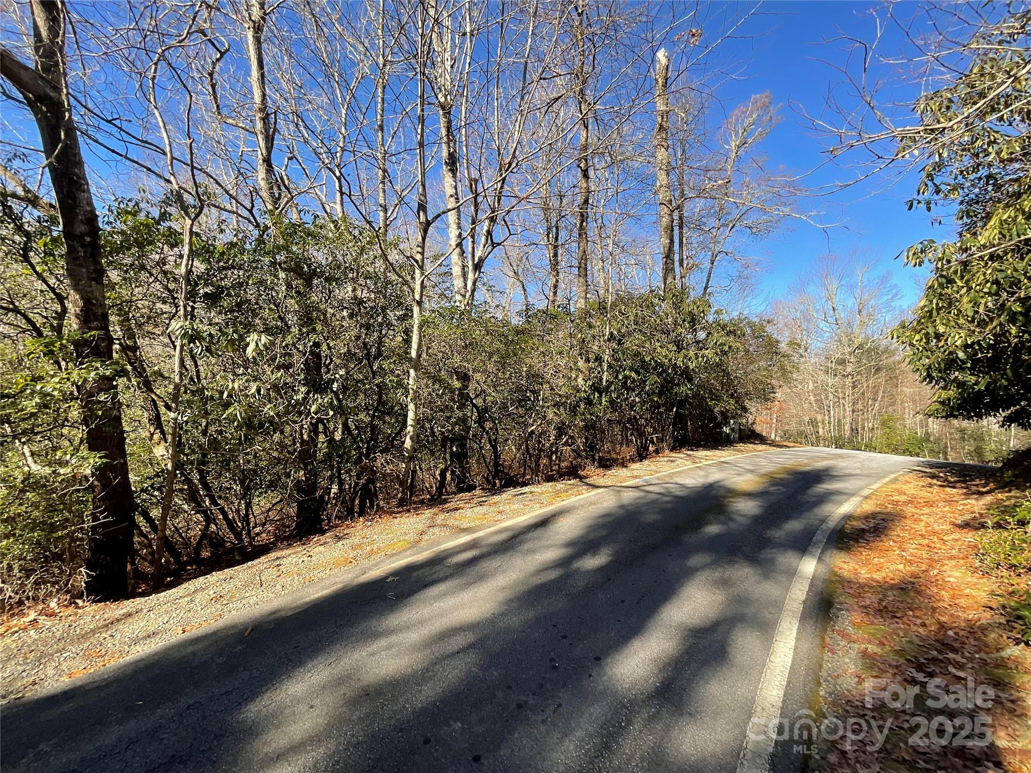 Lot 129 Inoli Circle, Unit 129/7 Brevard, NC 28712 - Photo 2 of 25 a view of a yard with wooden fence