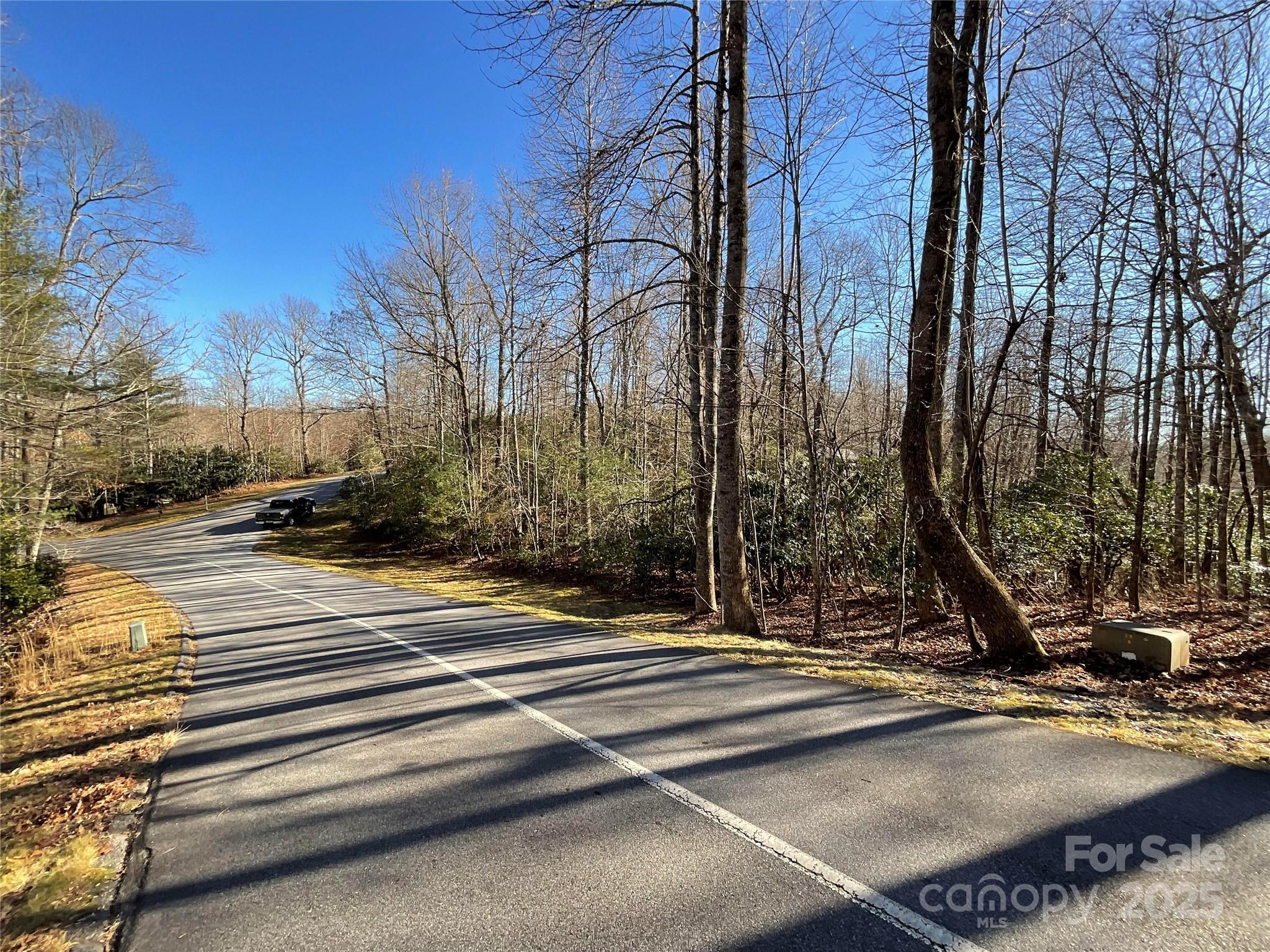 Lot 129 Inoli Circle, Unit 129/7 Brevard, NC 28712 - Photo 3 of 25 a view of a street with houses on the roadside