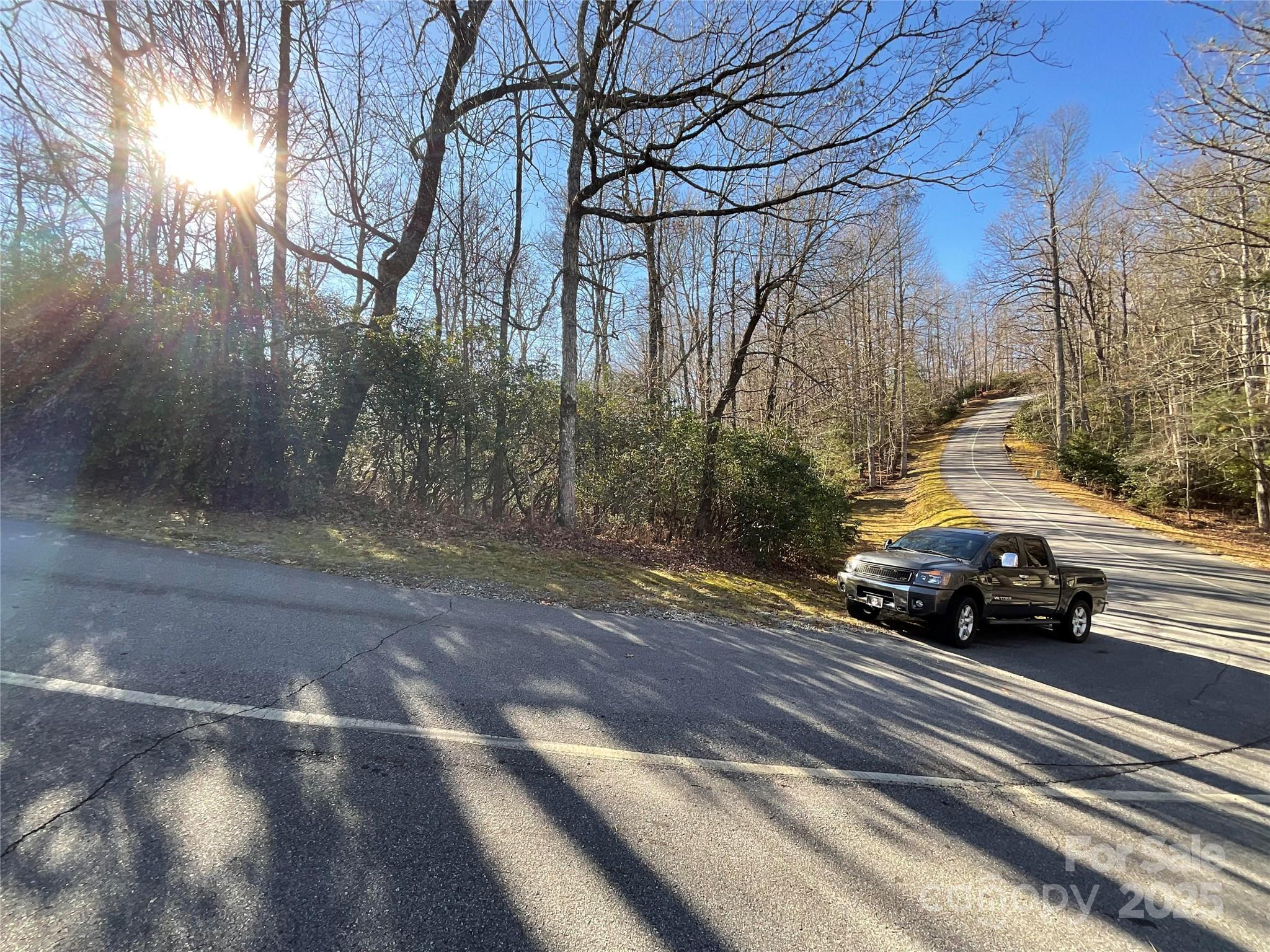 Lot 129 Inoli Circle, Unit 129/7 Brevard, NC 28712 - Photo 4 of 25 a view of street with parked cars