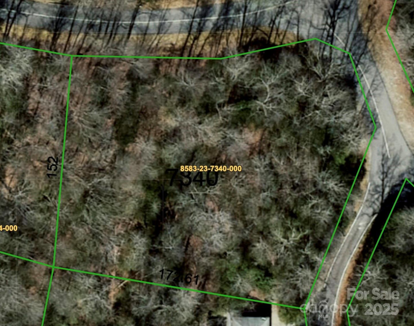 Lot 129 Inoli Circle, Unit 129/7 Brevard, NC 28712 - Photo 6 of 25 a plant with lots of trees