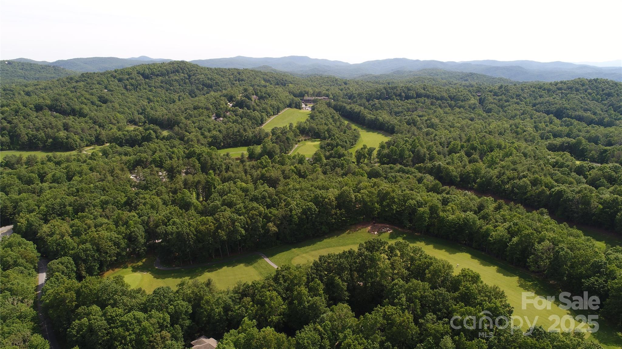 Lot 129 Inoli Circle, Unit 129/7 Brevard, NC 28712 - Photo 10 of 25 an aerial view of forest