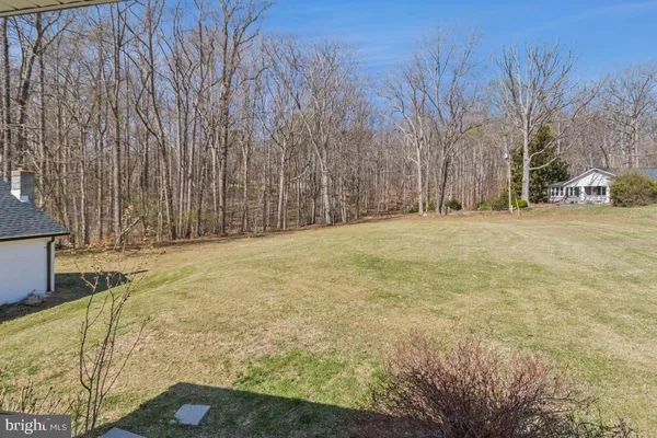a view of outdoor space with trees