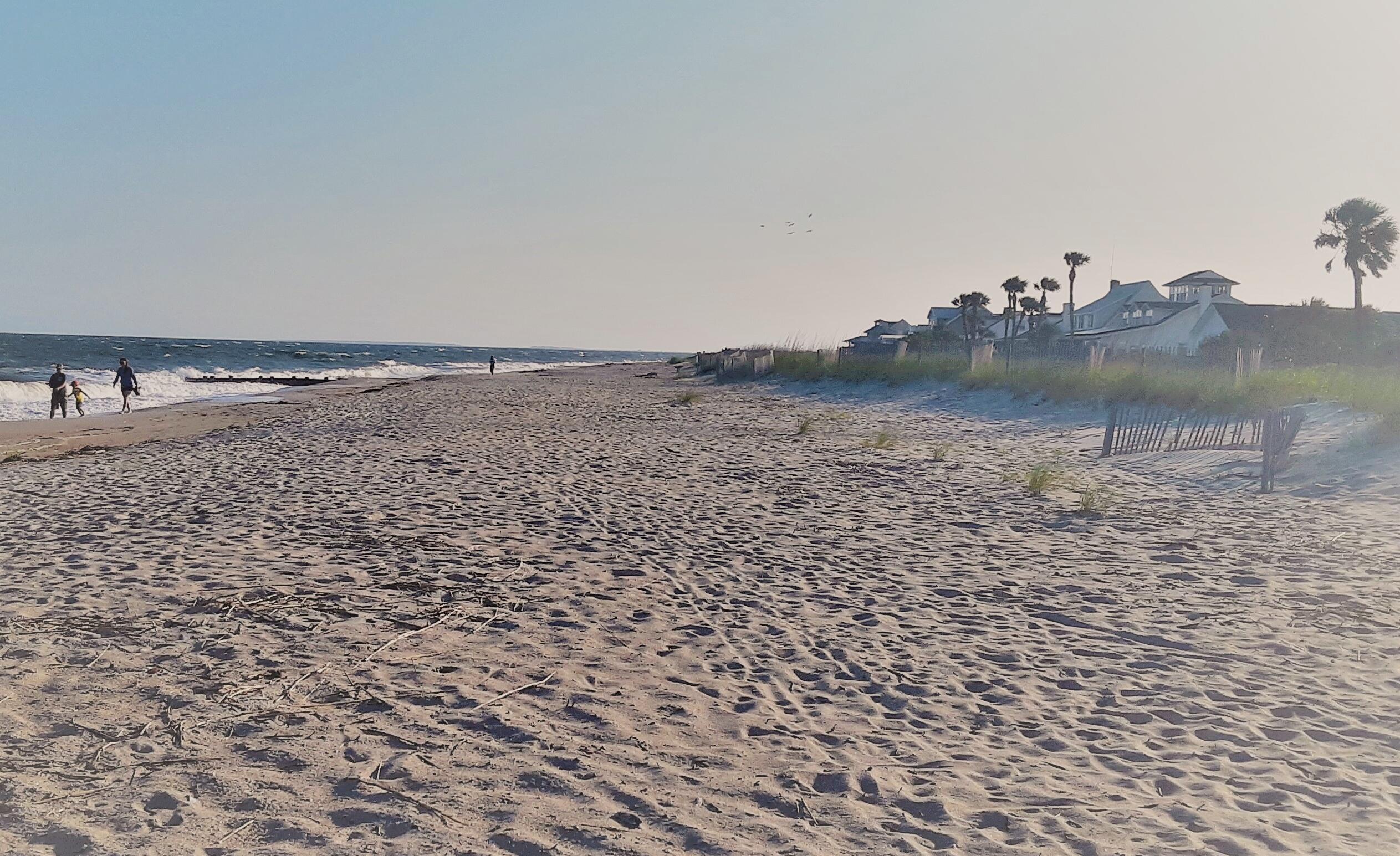 60 Rice Lane Edisto Beach, SC 29438 - Photo 38 of 44 20190516_184048 (2)