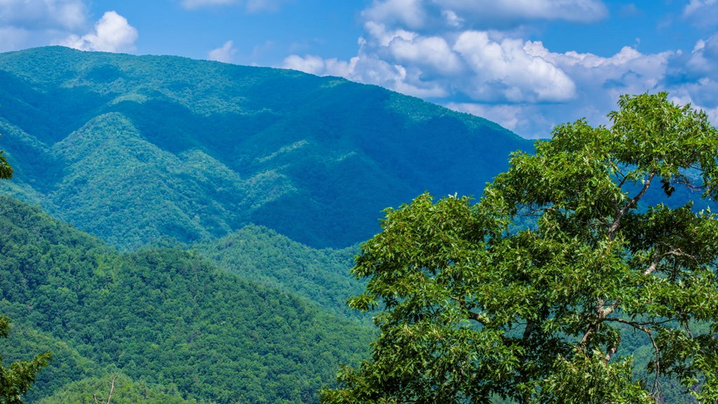 235 Rios Drive Bryson City, NC 28713 - Photo 27 of 29