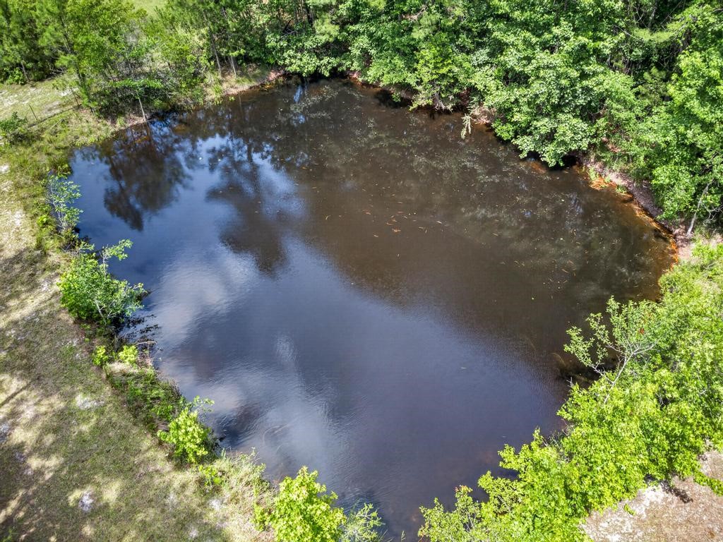 76390 Dove Road Yulee, FL 32097 - Photo 53 of 55