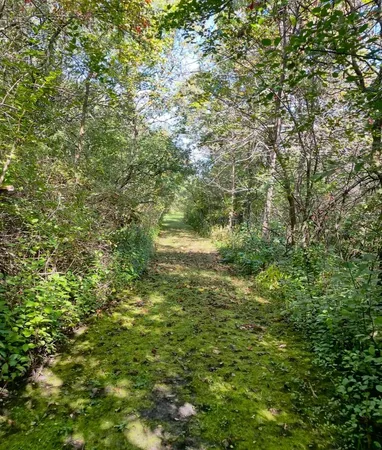 $265,000 | Na Na Na, Albert Lea, MN 56007