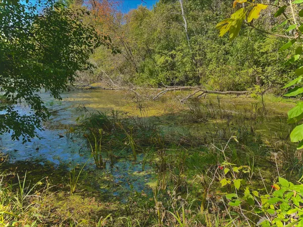 $265,000 | Na Na Na, Albert Lea, MN 56007