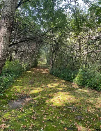 $265,000 | Na Na Na, Albert Lea, MN 56007