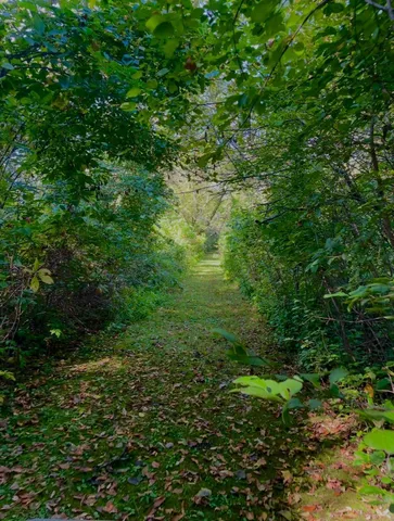 $275,000 | Na Na Na, Albert Lea, MN 56007