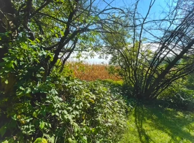 $275,000 | Na Na Na, Albert Lea, MN 56007