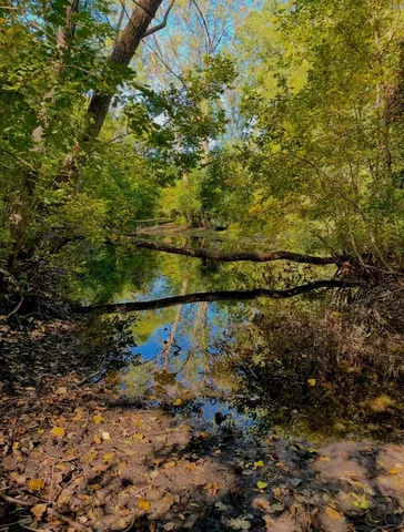 $275,000 | Na Na Na, Albert Lea, MN 56007