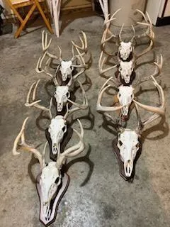 $275,000 | Na Na Na, Albert Lea, MN 56007