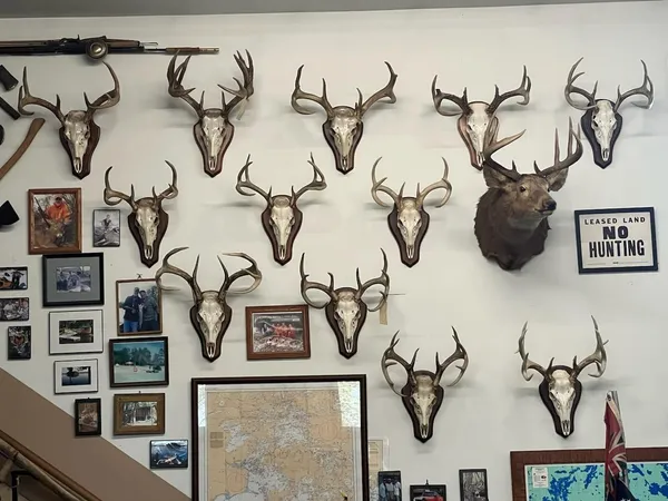 $265,000 | Na Na Na, Albert Lea, MN 56007