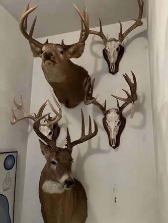 $265,000 | Na Na Na, Albert Lea, MN 56007