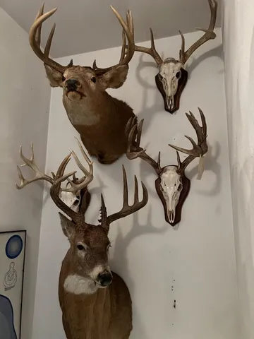 $275,000 | Na Na Na, Albert Lea, MN 56007