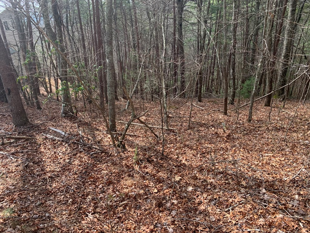 Lot 20 Wolf Ridge Lane Murphy, NC 28906 - Photo 26 of 27