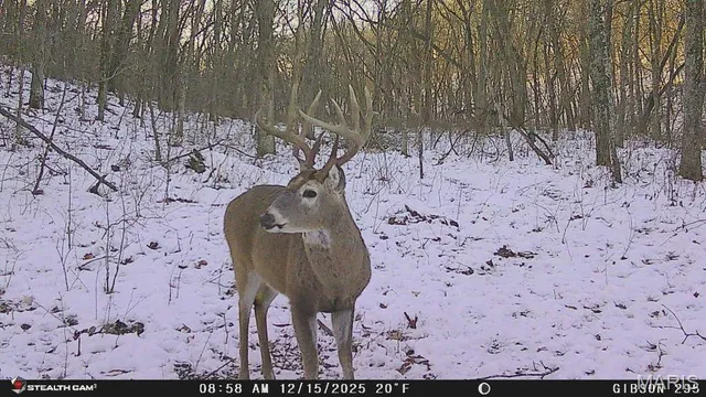 $1,088,000 | 0 Spring Creek Road, Green Castle, MO 63544