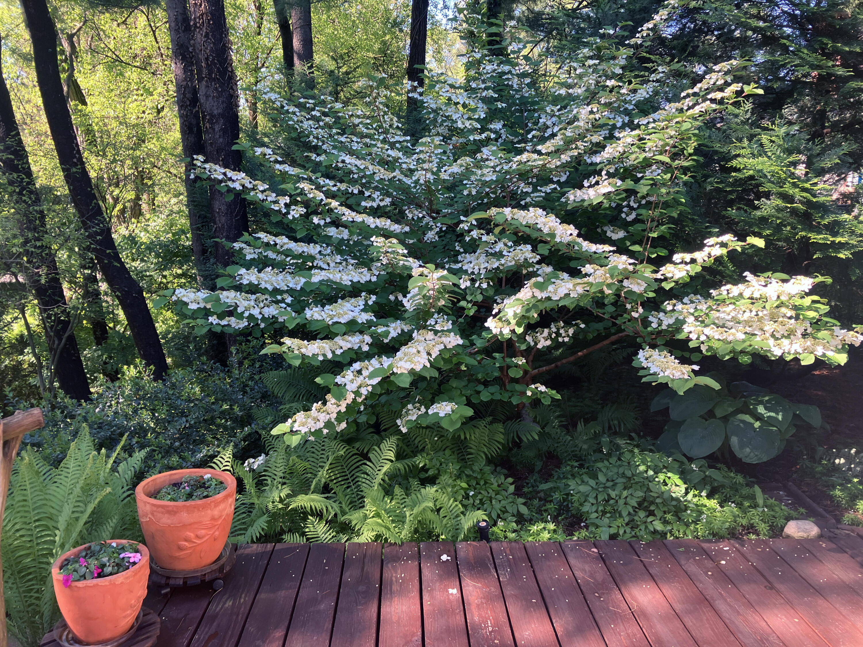 49 Aspen Road Ogden Dunes, IN 46368 - Photo 32 of 42 3000x2250