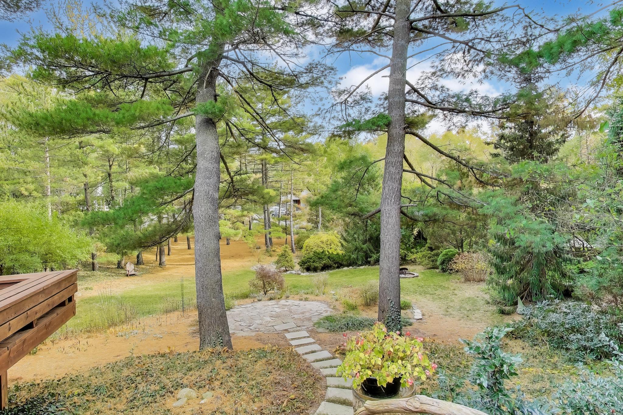 49 Aspen Road Ogden Dunes, IN 46368 - Photo 33 of 42 a view of a garden with plants