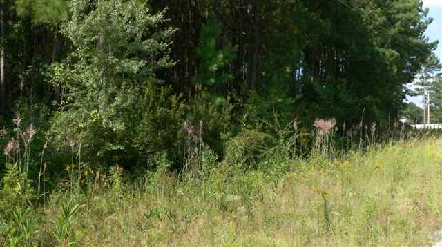 189 Myrtle Place Ridgeland, SC 29936 - Photo 3 of 3 Additional Photo