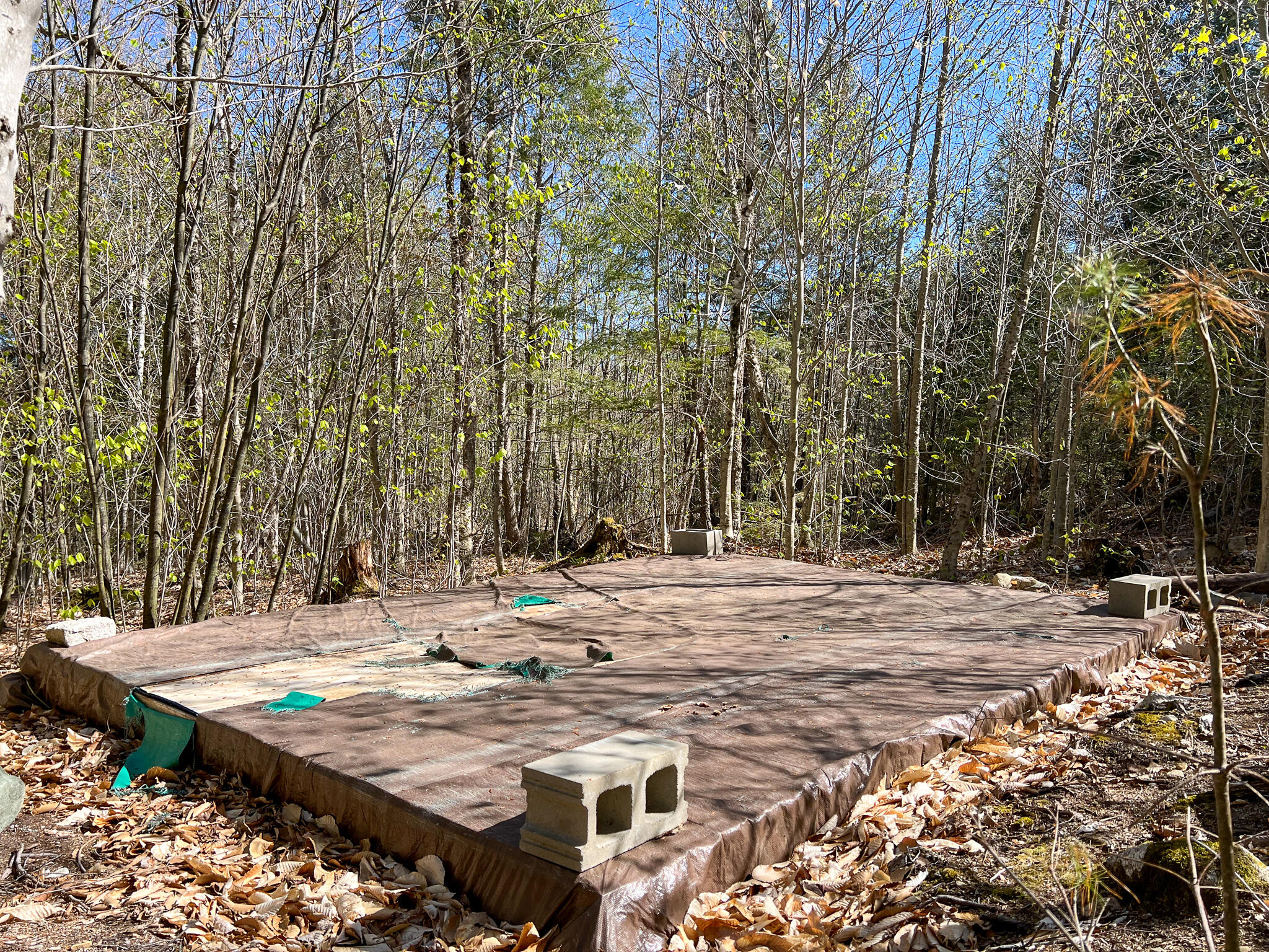775 Transalpine Road Lincoln, ME 04457 - Photo 9 of 12 IMG_5776