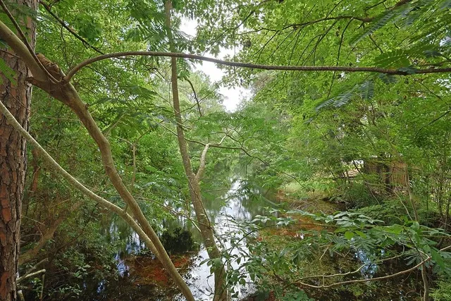 $328,000 | 392 East Pine Street, Mary Esther, FL 32569