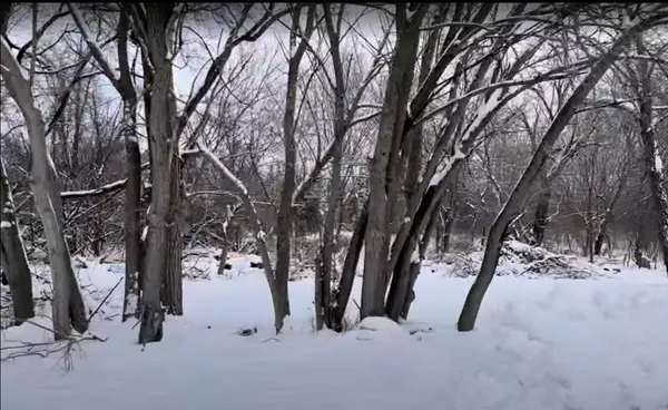 $48,750 | Vacant Heiden Avenue, Crest Hill, IL 60403