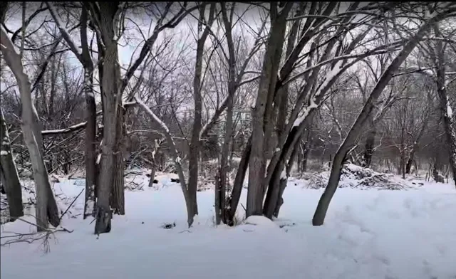 a view of snow on the roadside