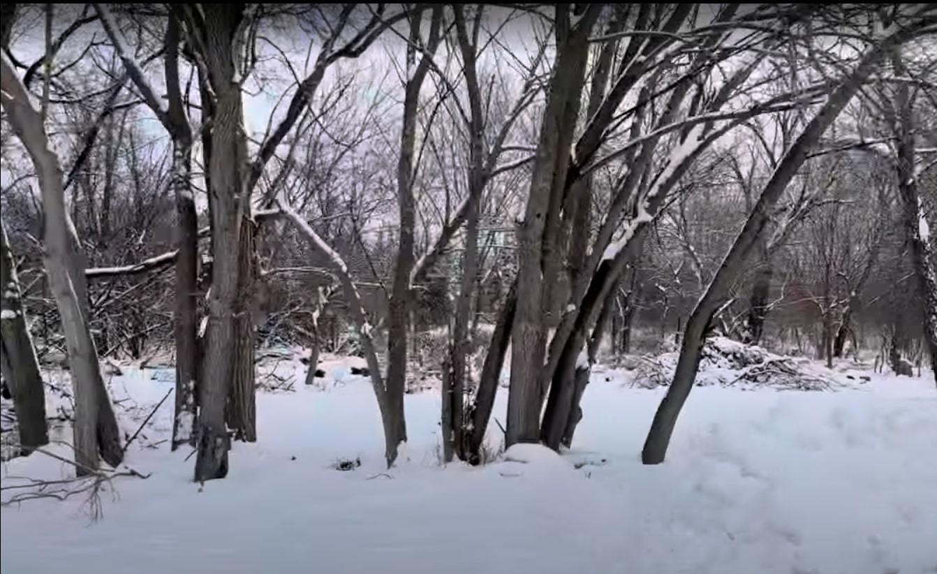 Vacant Heiden Avenue Crest Hill, IL 60403 - Photo 1 of 11 a view of snow on the roadside