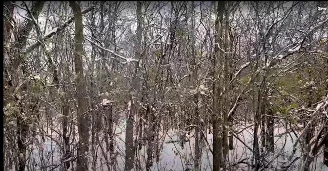 a view of snow on a road