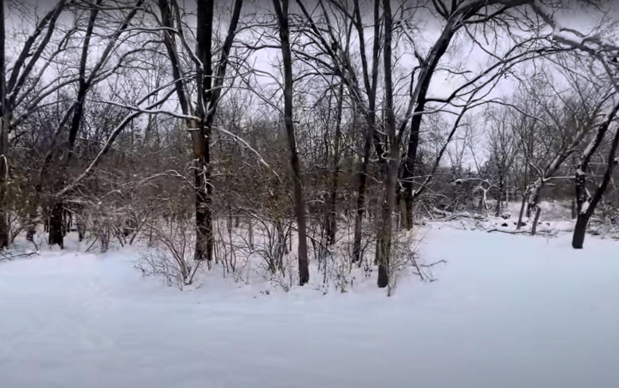 Vacant Heiden Avenue Crest Hill, IL 60403 - Photo 6 of 11 a view of snow on a road