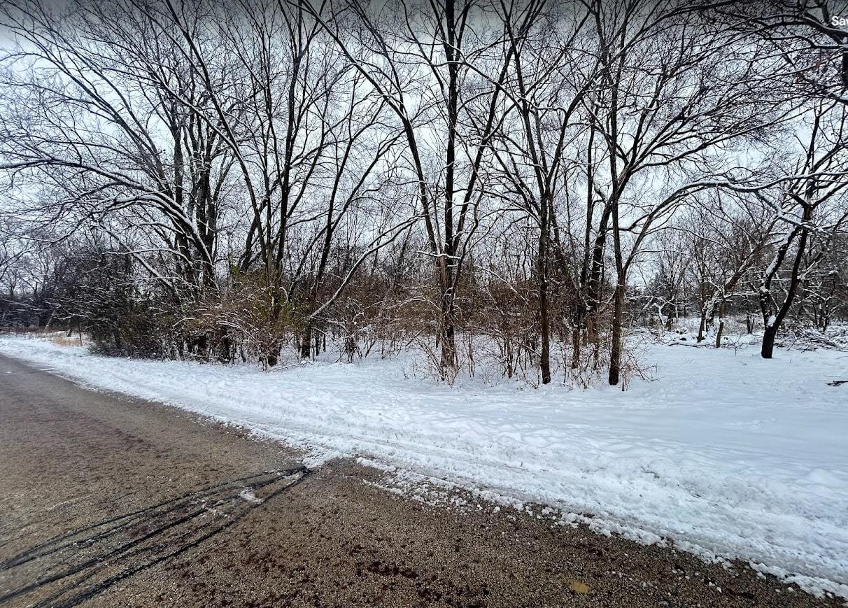 Vacant Heiden Avenue Crest Hill, IL 60403 - Photo 9 of 11 a view of dirt yard with a large tree