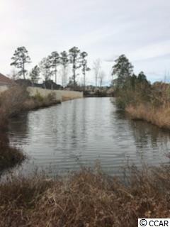 6564 St Peters Church Road Myrtle Beach, SC 29588 - Photo 3 of 9 Gallery Image 3