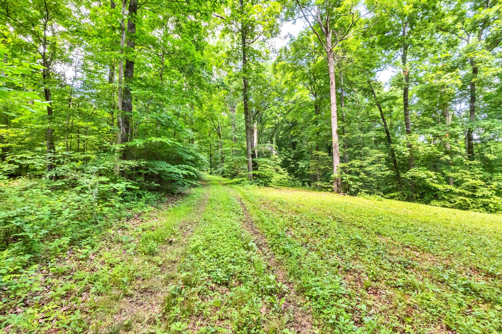 5185 Old Harding Road Fairview, TN 37062 - Photo 26 of 42