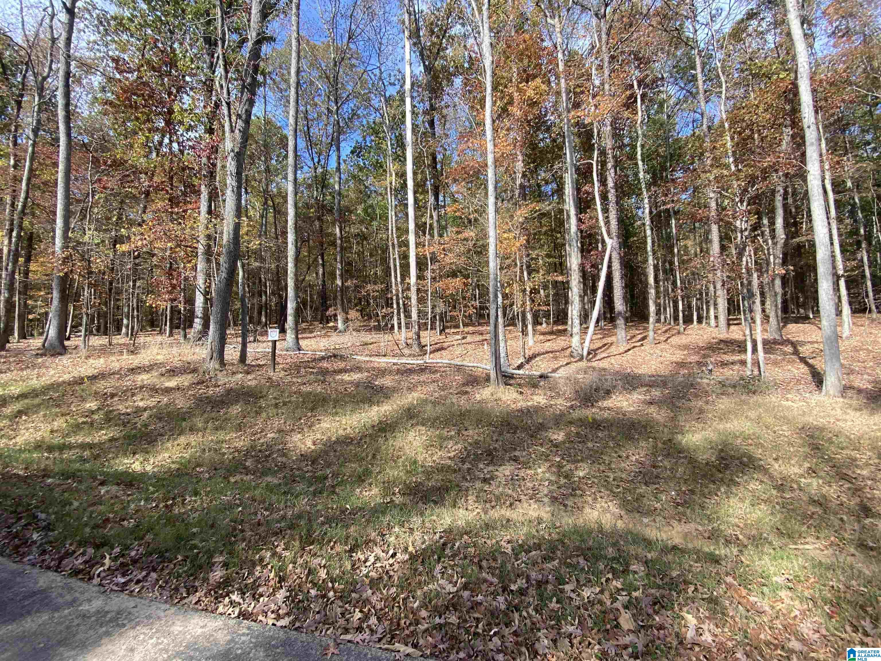 836 Cavalier Ridge, Unit 47 Birmingham, AL 35242 - Photo 4 of 28