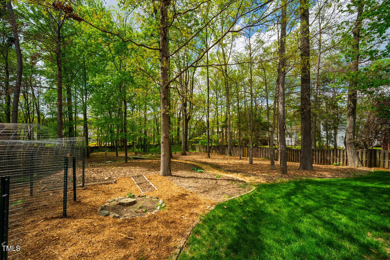 113 Glenmore Road Chapel Hill, NC 27516 - Photo 51 of 60 113GlenmoreRd-24