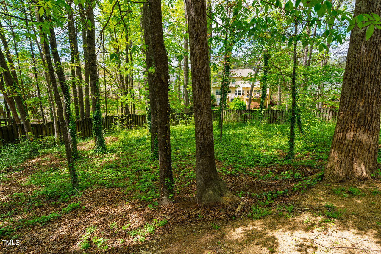 113 Glenmore Road Chapel Hill, NC 27516 - Photo 54 of 60 113GlenmoreRd-31