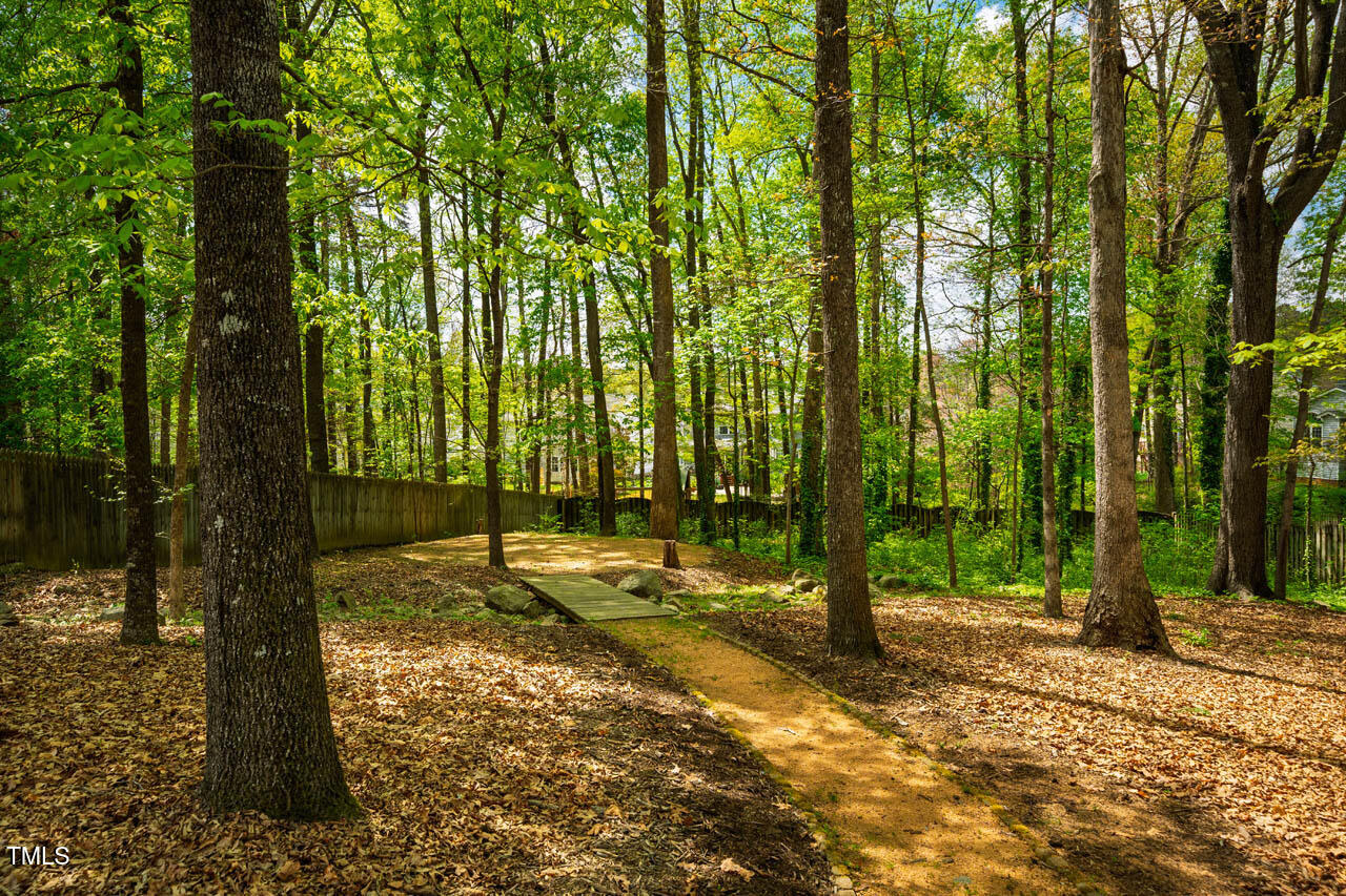 113 Glenmore Road Chapel Hill, NC 27516 - Photo 59 of 60 113GlenmoreRd-27