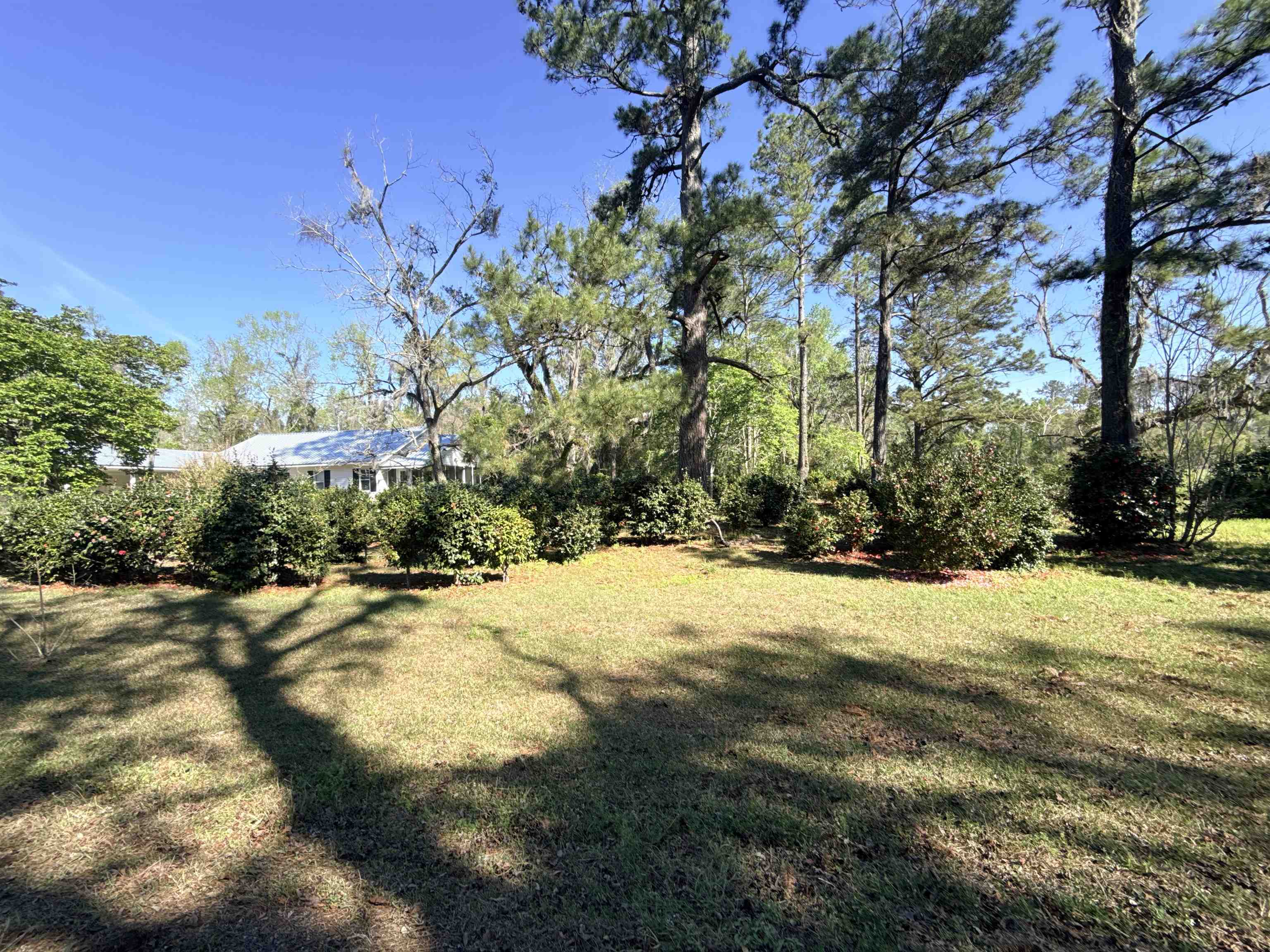 167 Phelps Road Monticello, FL 32344 - Photo 29 of 30