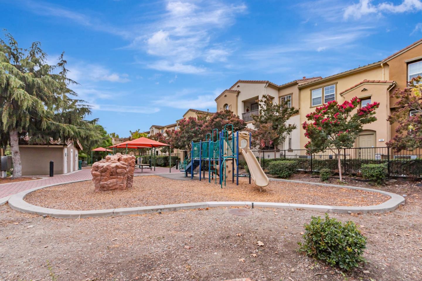 1103 Vida Larga Loop Milpitas, CA 95035 - Photo 38 of 44 a palm tree sitting in front of a house with a yard