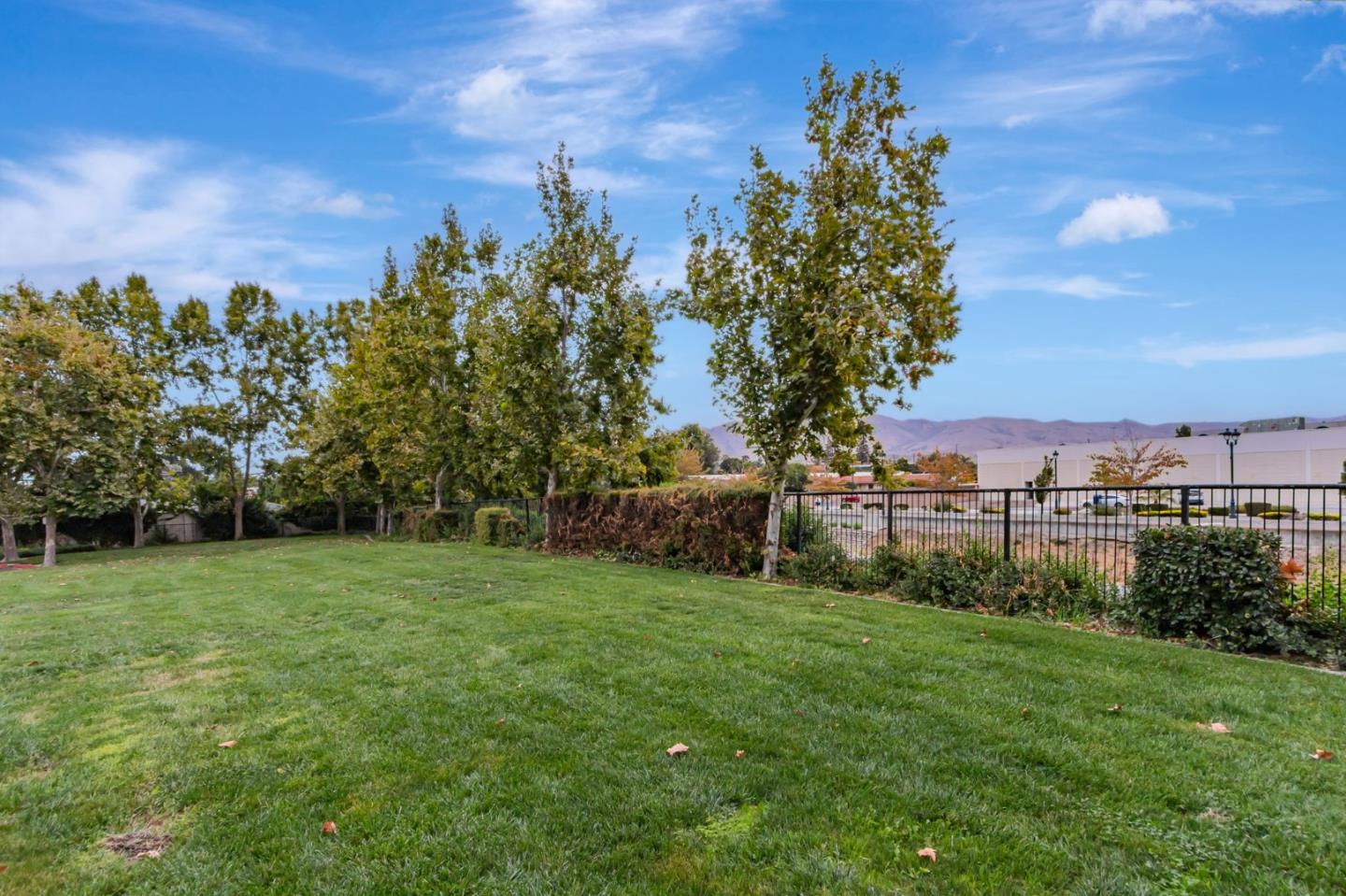 1103 Vida Larga Loop Milpitas, CA 95035 - Photo 39 of 44 a view of a grassy field with trees in the background