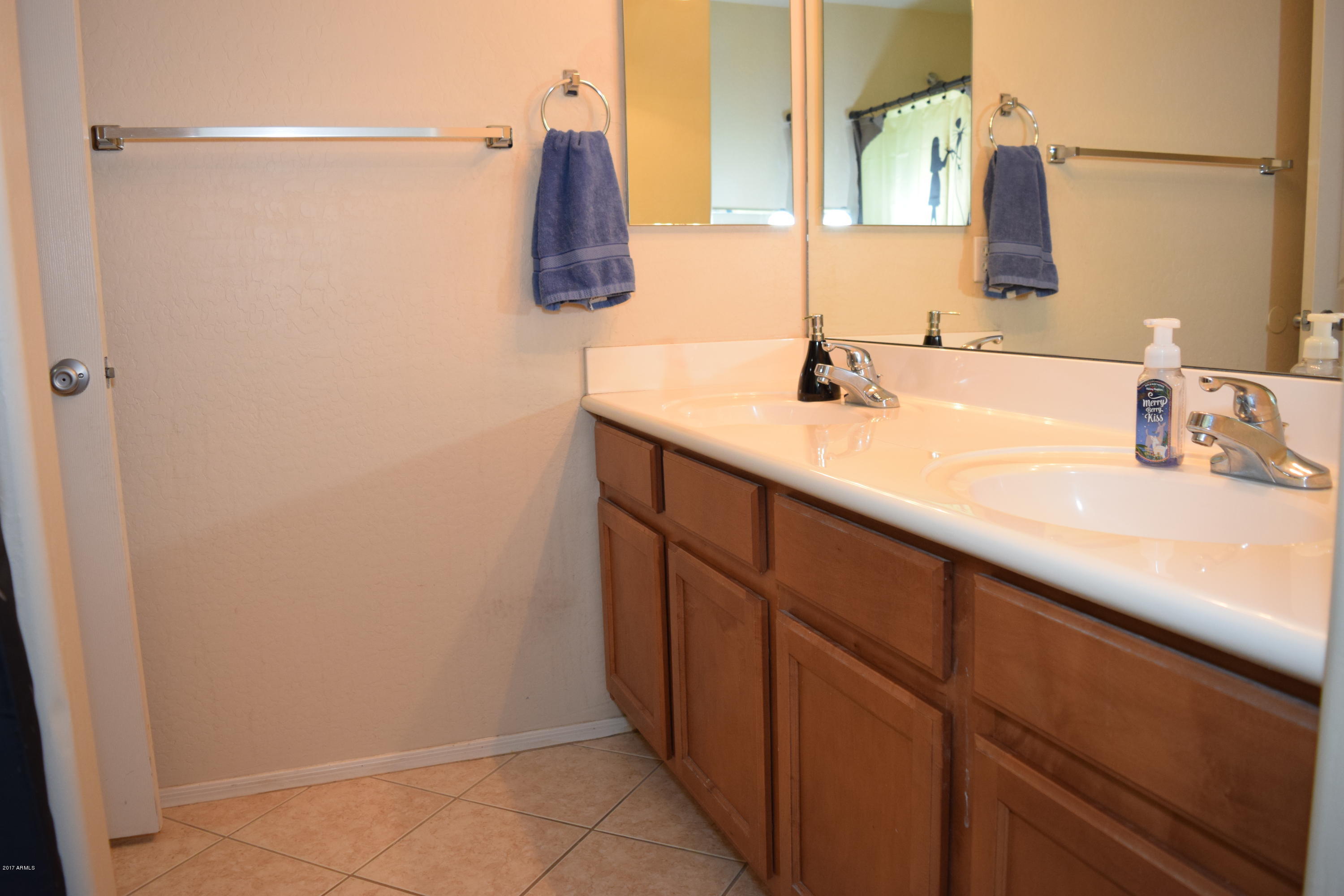 15761 West Calavar Road Surprise, AZ 85379 - Photo 23 of 36 a bathroom with a sink and a mirror